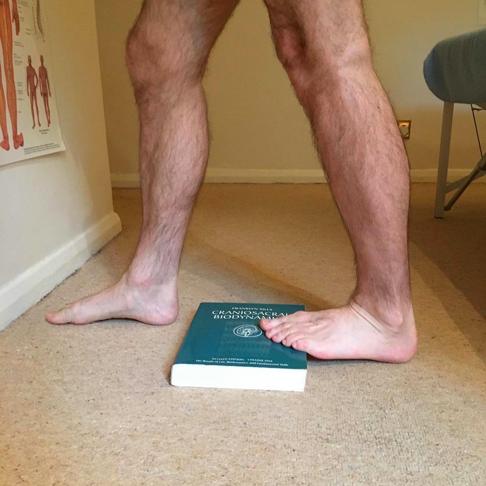 the Gastrocnemius is stretched by keeping your knee straight