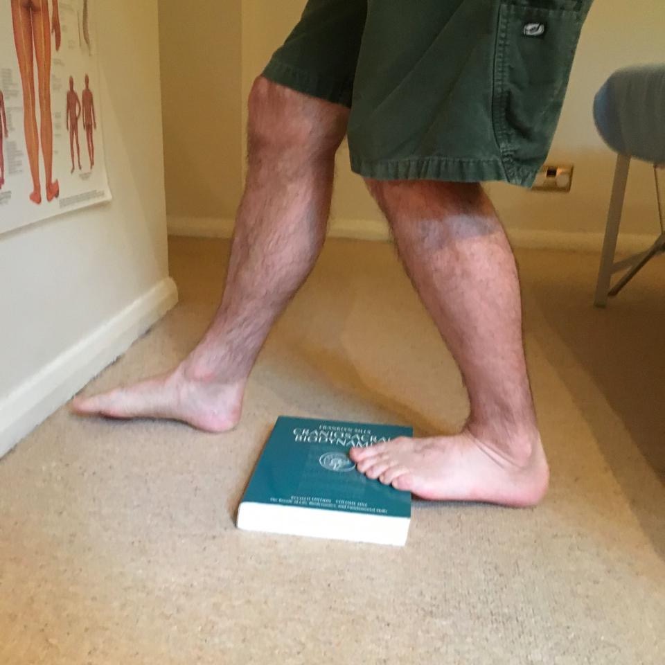 The Soleus is stretched if you bend your knee